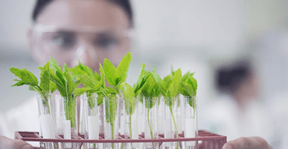 nsf-sbir-accounting